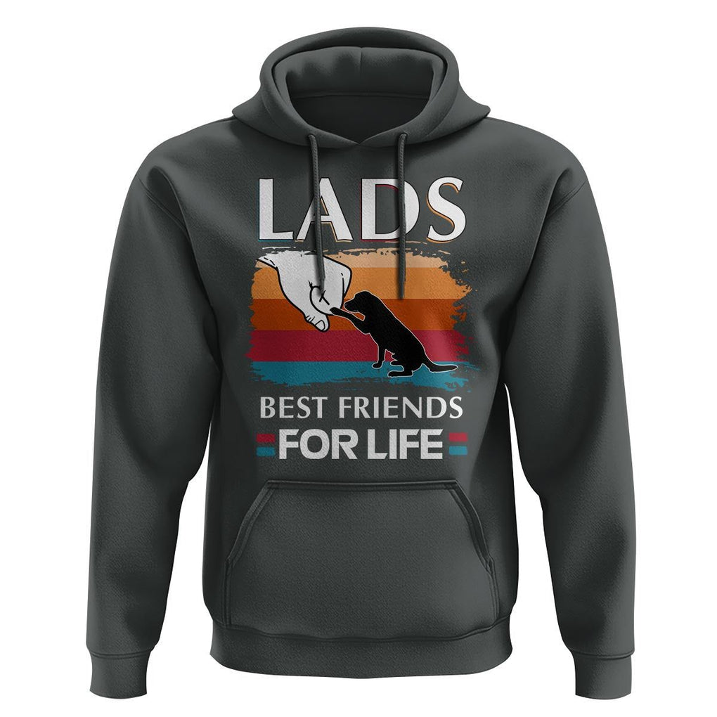 Labrador Lover Hoodie Lab Best Friends For Life Vintage Retro Pet Lover TS11 Dark Heather Print Your Wear