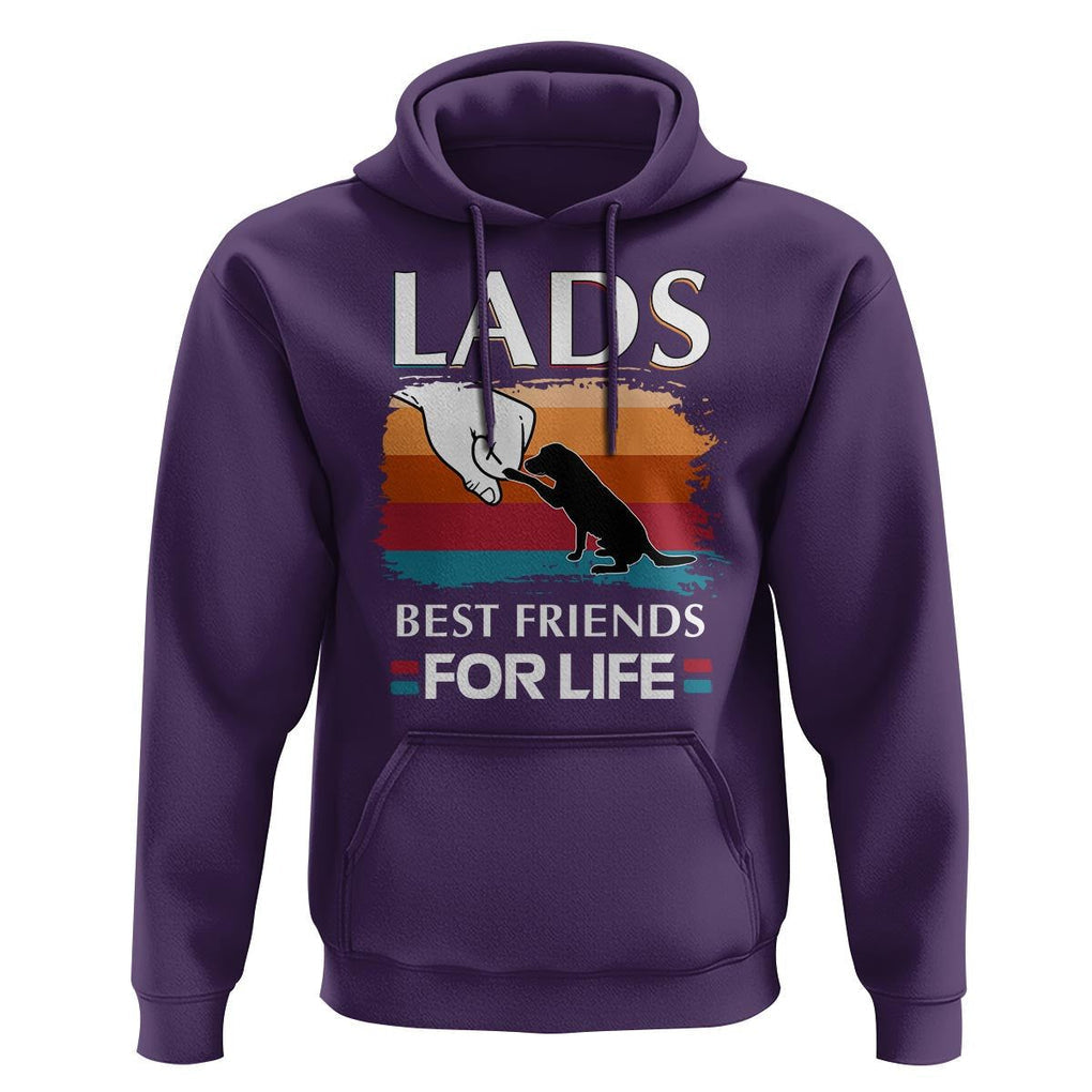 Labrador Lover Hoodie Lab Best Friends For Life Vintage Retro Pet Lover TS11 Purple Print Your Wear
