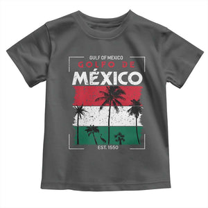 Golfo De Mexico EST 1550 Toddler T Shirt Vintage Mexican Flag Palm Tree TS11 Dark Heather Print Your Wear