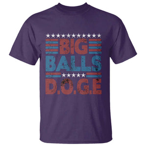 Funny DOGE Big Balls T Shirt Harry Bolz Meme Vintage Stripes TS11 Purple Print Your Wear
