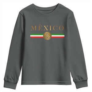 Mexican Heritage Pride Youth Sweatshirt Mexico Vintage Flag Coat of Arms Graphic TS11 Dark Heather Print Your Wear