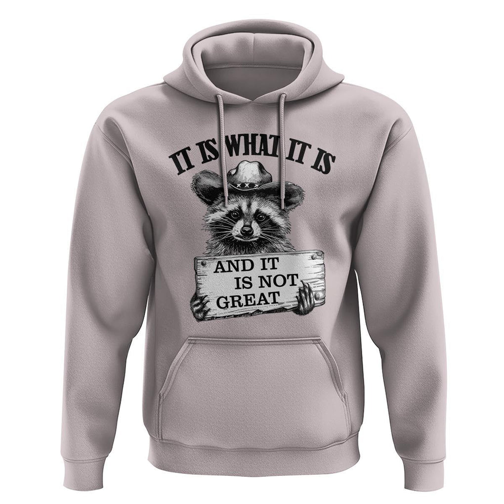 Funny Raccoon Hoodie It Is What It Is And It Is Not Great Text Display Board TS11 Ice Gray Print Your Wear