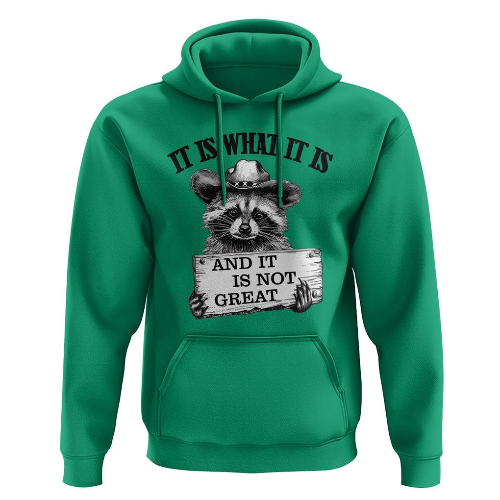 Funny Raccoon Hoodie It Is What It Is And It Is Not Great Text Display Board TS11 Irish Green Print Your Wear