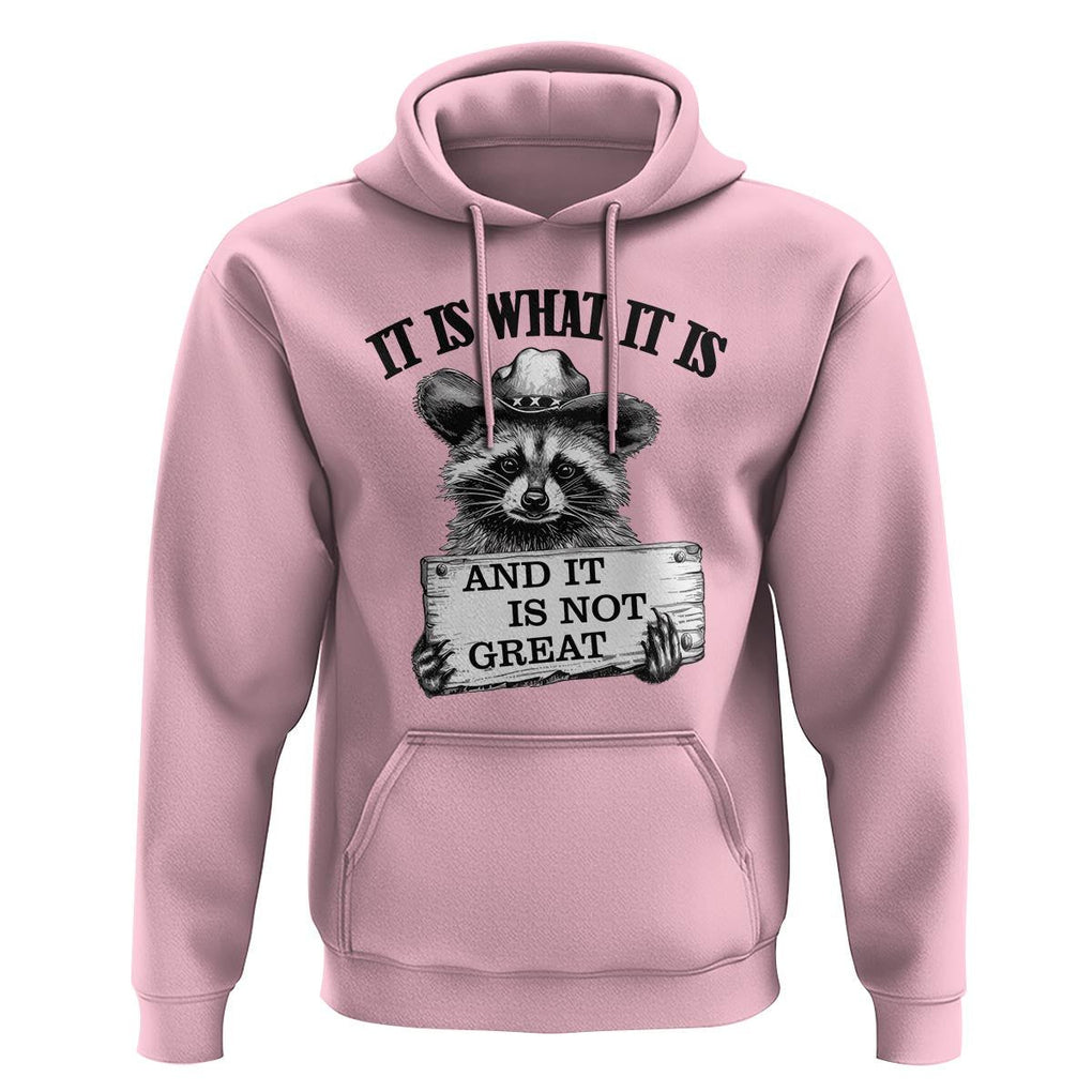 Funny Raccoon Hoodie It Is What It Is And It Is Not Great Text Display Board TS11 Light Pink Print Your Wear
