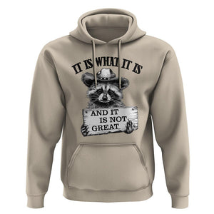Funny Raccoon Hoodie It Is What It Is And It Is Not Great Text Display Board TS11 Sand Print Your Wear