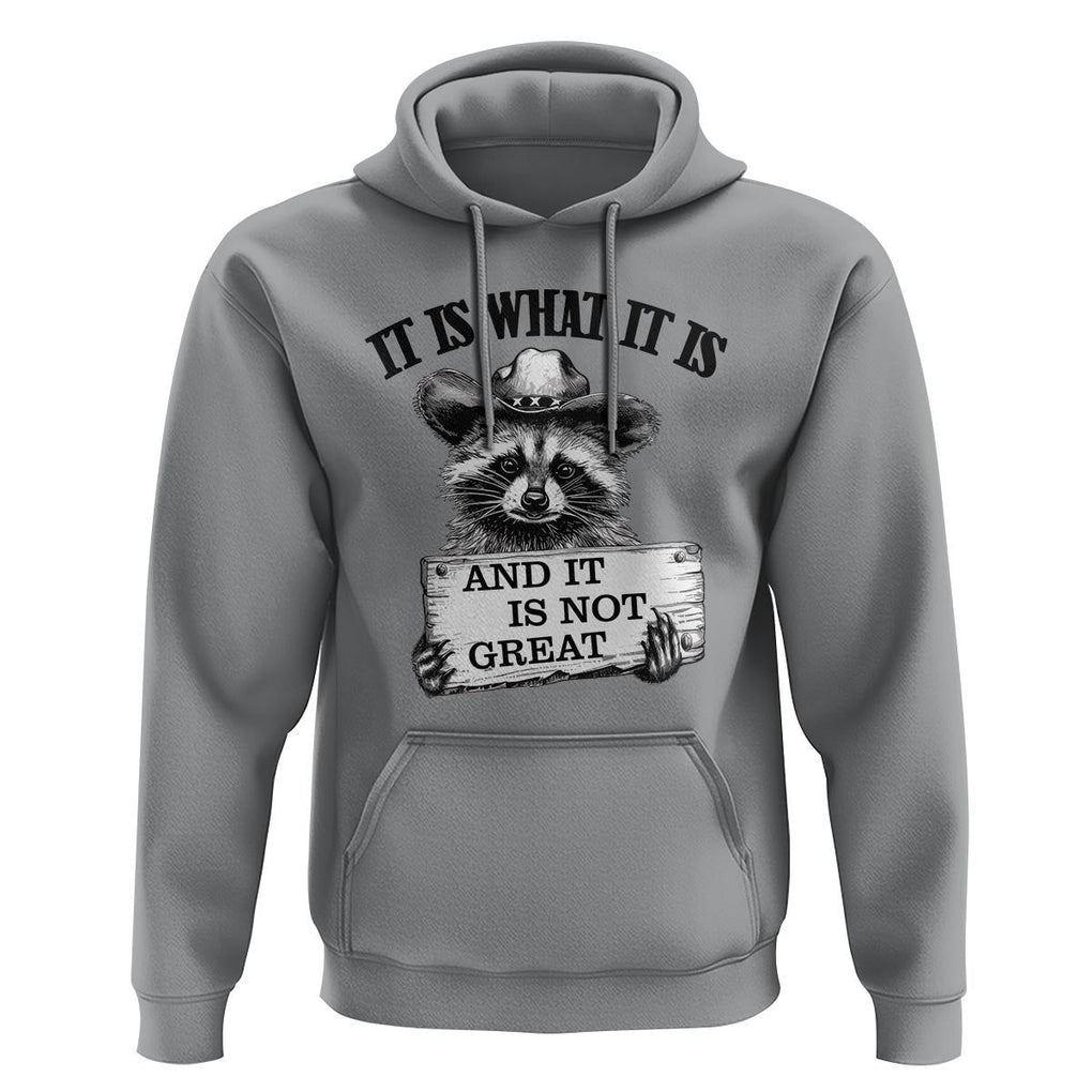 Funny Raccoon Hoodie It Is What It Is And It Is Not Great Text Display Board TS11 Sport Gray Print Your Wear