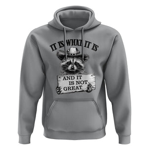 Funny Raccoon Hoodie It Is What It Is And It Is Not Great Text Display Board TS11 Sport Gray Print Your Wear