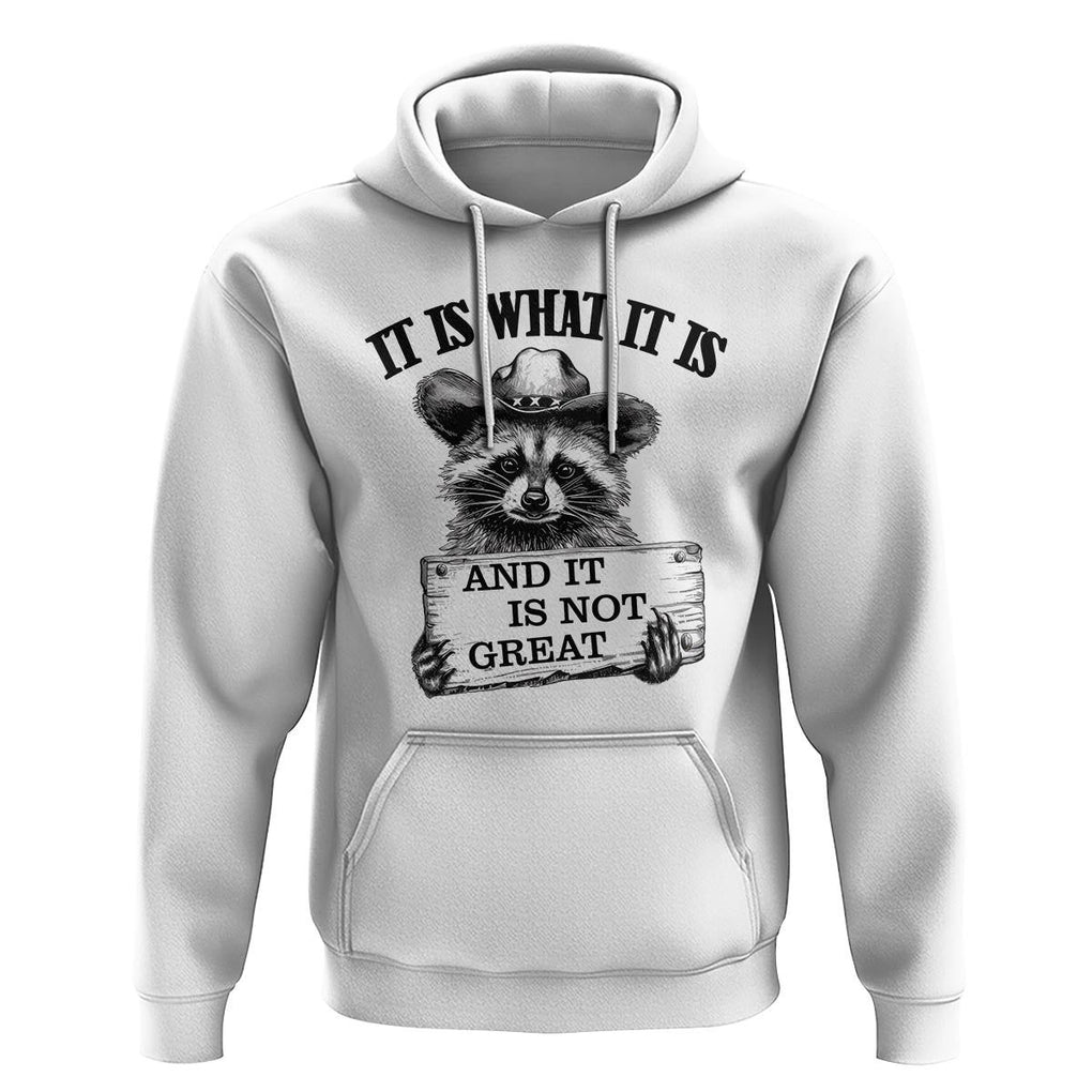 Funny Raccoon Hoodie It Is What It Is And It Is Not Great Text Display Board TS11 White Print Your Wear