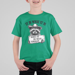 Funny Raccoon T Shirt For Kid It Is What It Is And It Is Not Great Text Display Board TS11 Irish Green Print Your Wear