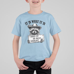 Funny Raccoon T Shirt For Kid It Is What It Is And It Is Not Great Text Display Board TS11 Light Blue Print Your Wear