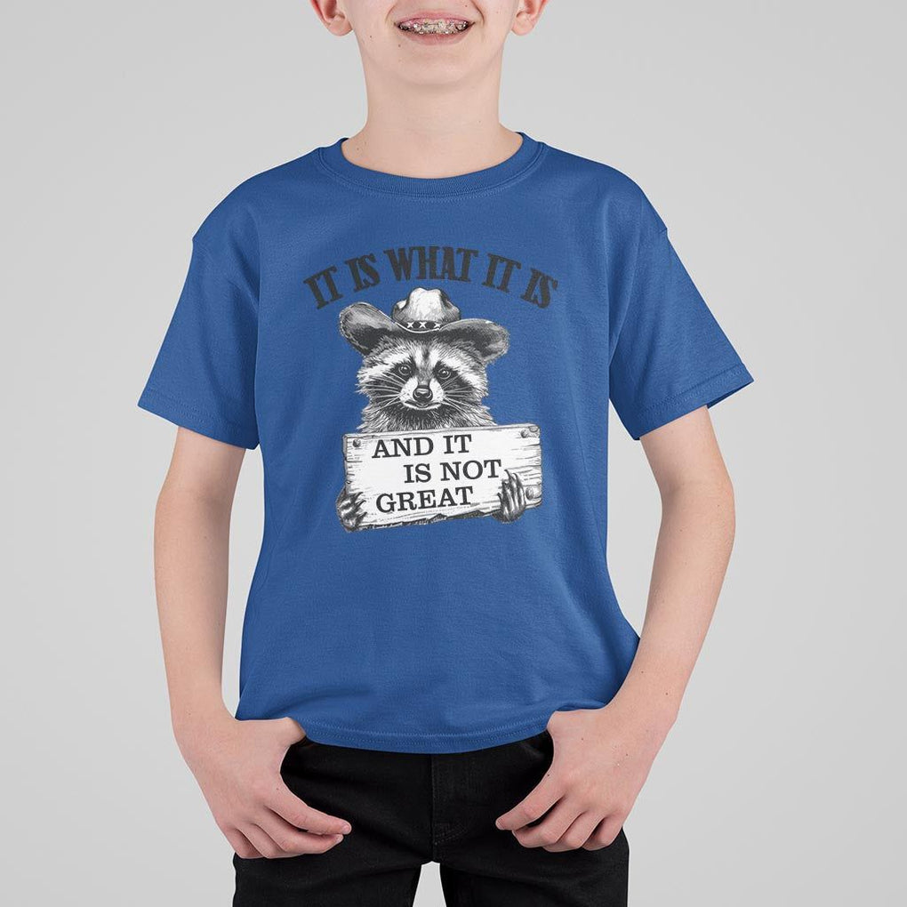 Funny Raccoon T Shirt For Kid It Is What It Is And It Is Not Great Text Display Board TS11 Royal Blue Print Your Wear