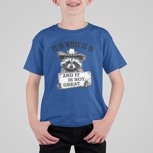 Funny Raccoon T Shirt For Kid It Is What It Is And It Is Not Great Text Display Board TS11 Royal Blue Print Your Wear