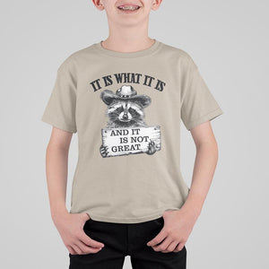 Funny Raccoon T Shirt For Kid It Is What It Is And It Is Not Great Text Display Board TS11 Sand Print Your Wear