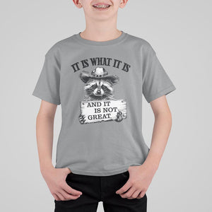 Funny Raccoon T Shirt For Kid It Is What It Is And It Is Not Great Text Display Board TS11 Sport Gray Print Your Wear