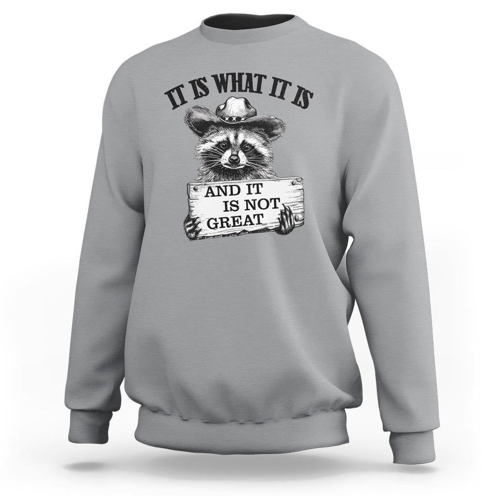 Funny Raccoon Sweatshirt It Is What It Is And It Is Not Great Text Display Board TS11 Sport Gray Print Your Wear