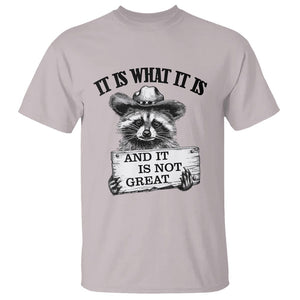 Funny Raccoon T Shirt It Is What It Is And It Is Not Great Text Display Board TS11 Ice Gray Print Your Wear