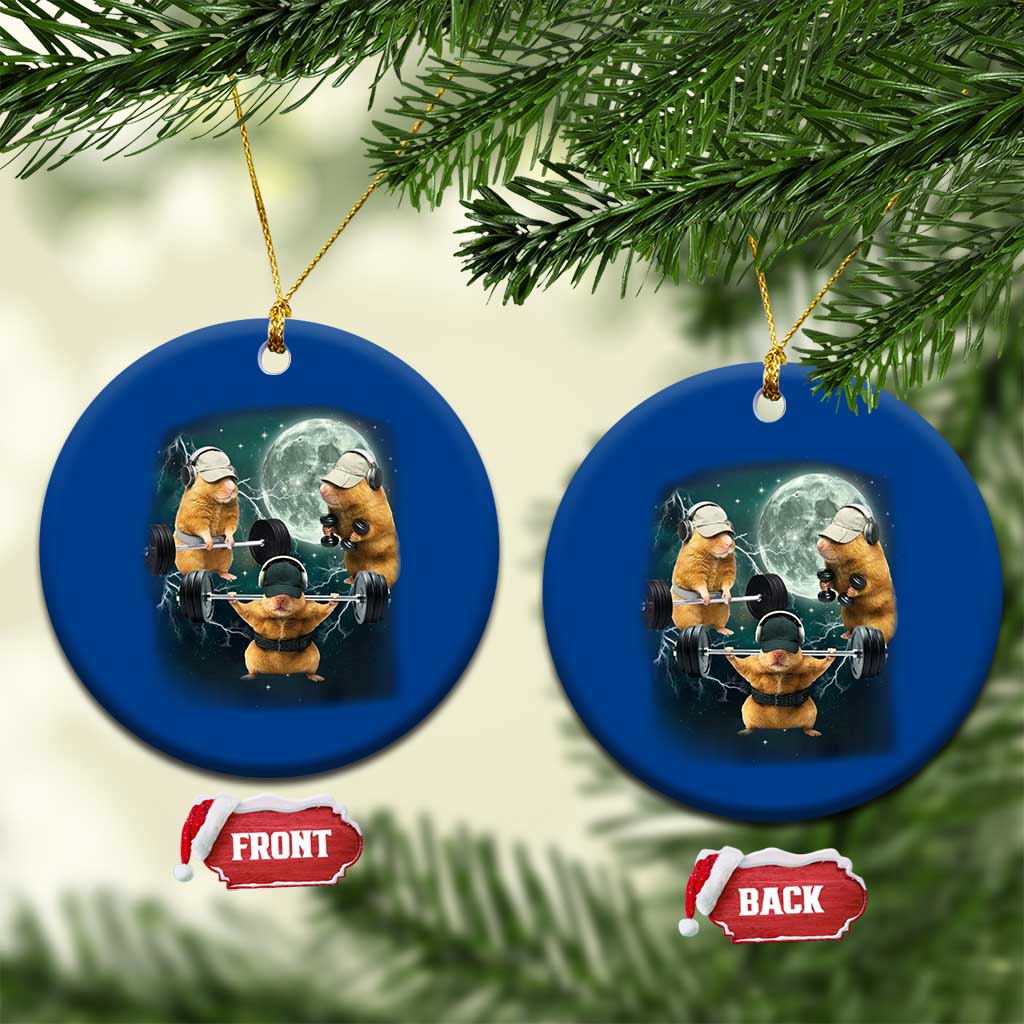 Funny Three Hamster Deadlift Gym Rat Moon Training Weightlifting Meme Ceramic Ornament TS11 1pc Blue Print Your Wear