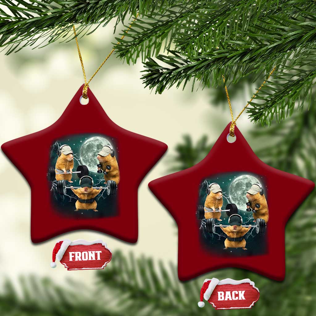 Funny Three Hamster Deadlift Gym Rat Moon Training Weightlifting Meme Ceramic Ornament TS11 Print Your Wear
