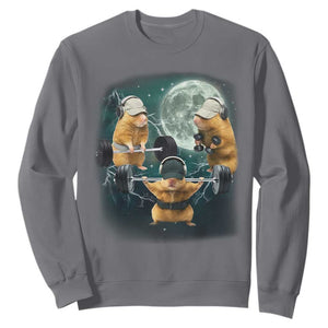 Funny Three Hamster Deadlift Gym Rat Moon Training Weightlifting Meme Sweatshirt TS11 Charcoal Print Your Wear