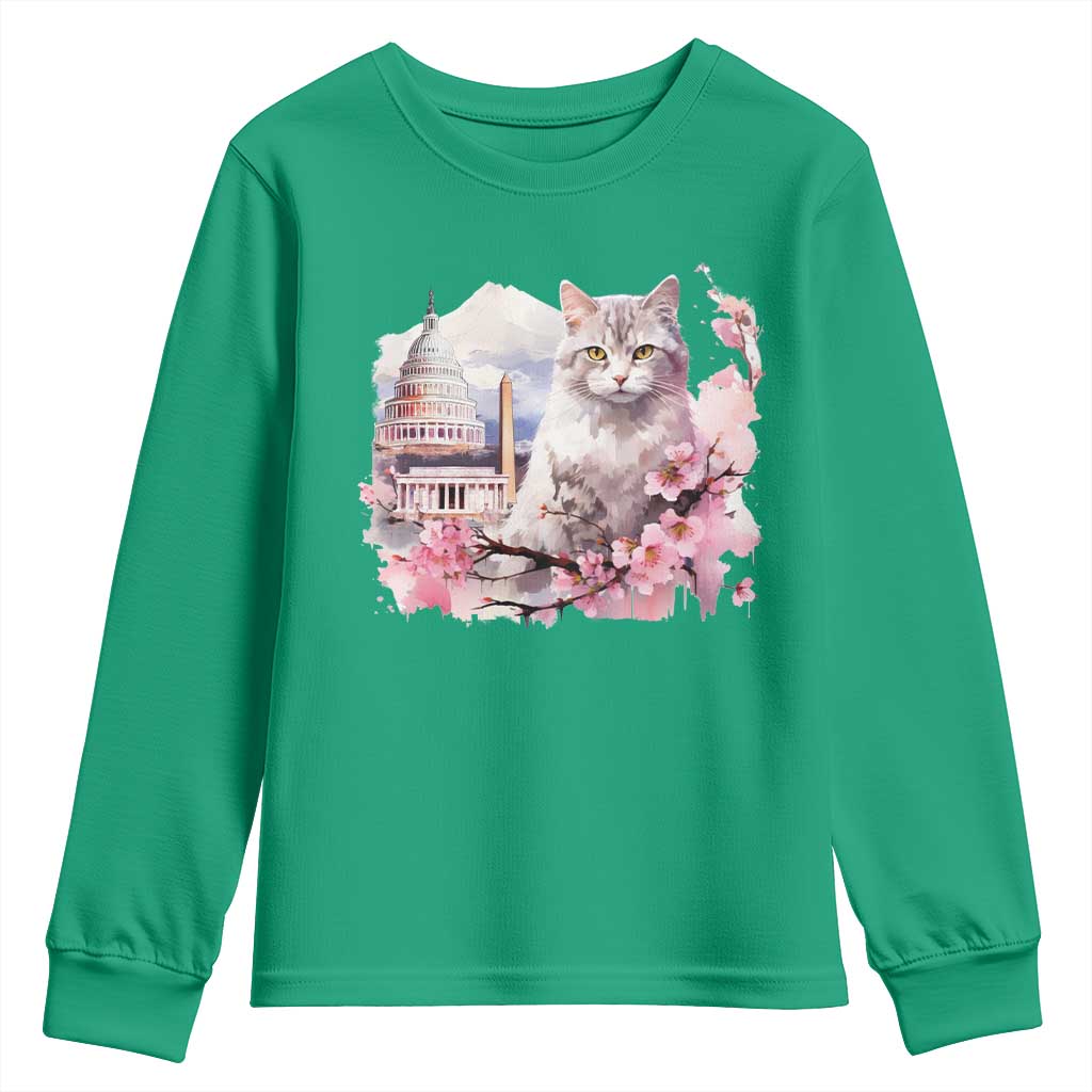 Washington DC Cat Cherry Blossoms Youth Sweatshirt Capitol Building Monuments Memorials Sakura TS11 Irish Green Print Your Wear