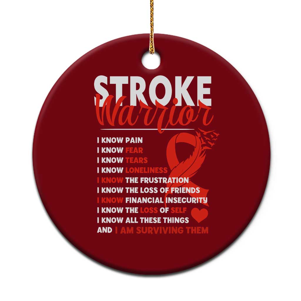 Stroke Warrior Ceramic Ornament I Know Pain Fear Feather Red Ribbon TS11 1pc Red Print Your Wear