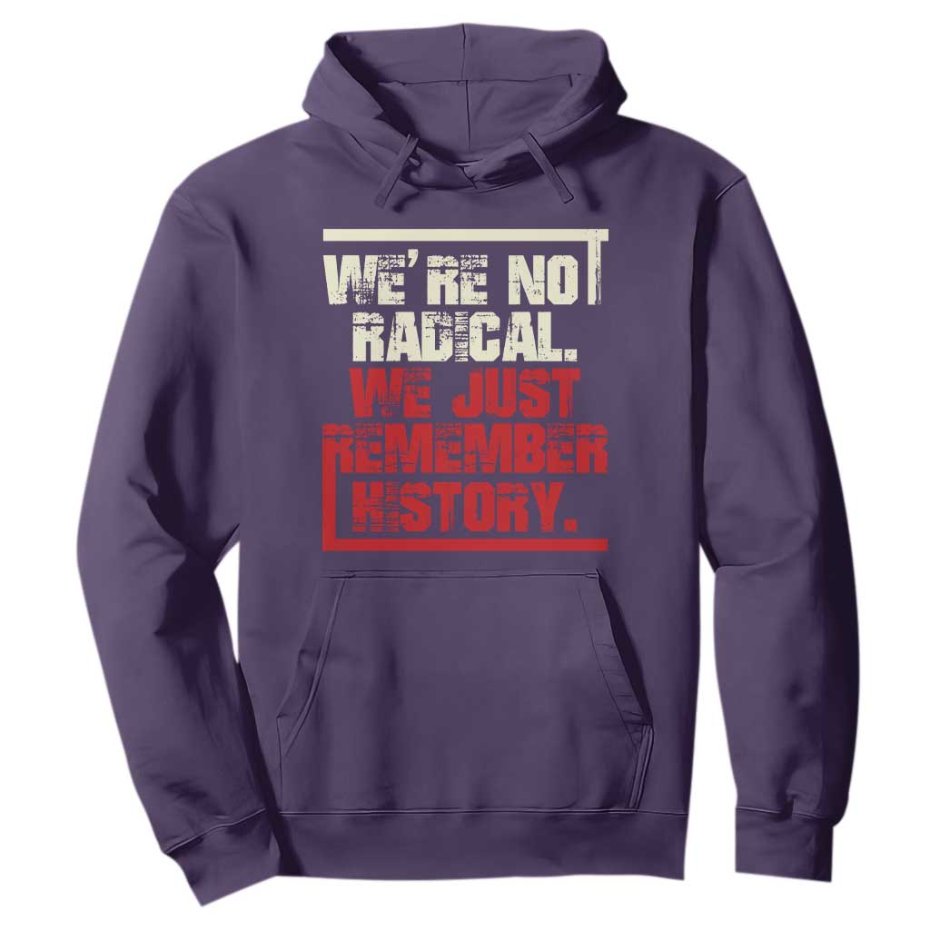 We Are Not Radical We Just Remember History Hoodie TS11 Purple Print Your Wear