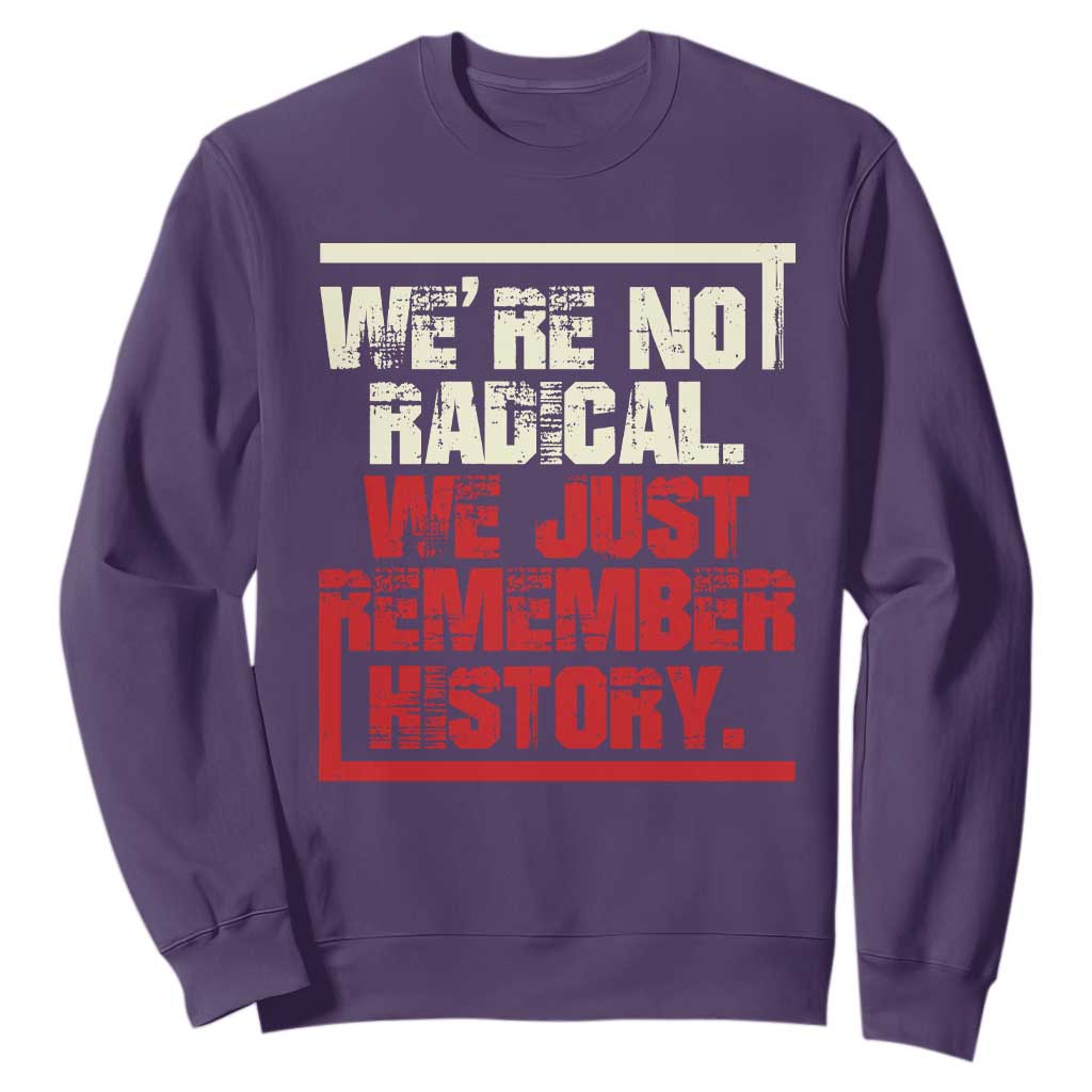 We Are Not Radical We Just Remember History Sweatshirt TS11 Purple Print Your Wear