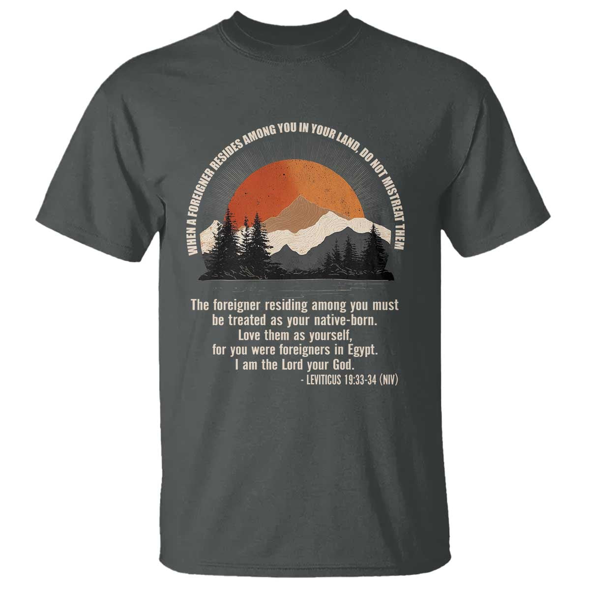 When A Foreigner Resides Among You In Your Land Do Not Mistreat Them T Shirt Leviticus Bible Verse TS11 Dark Heather Print Your Wear