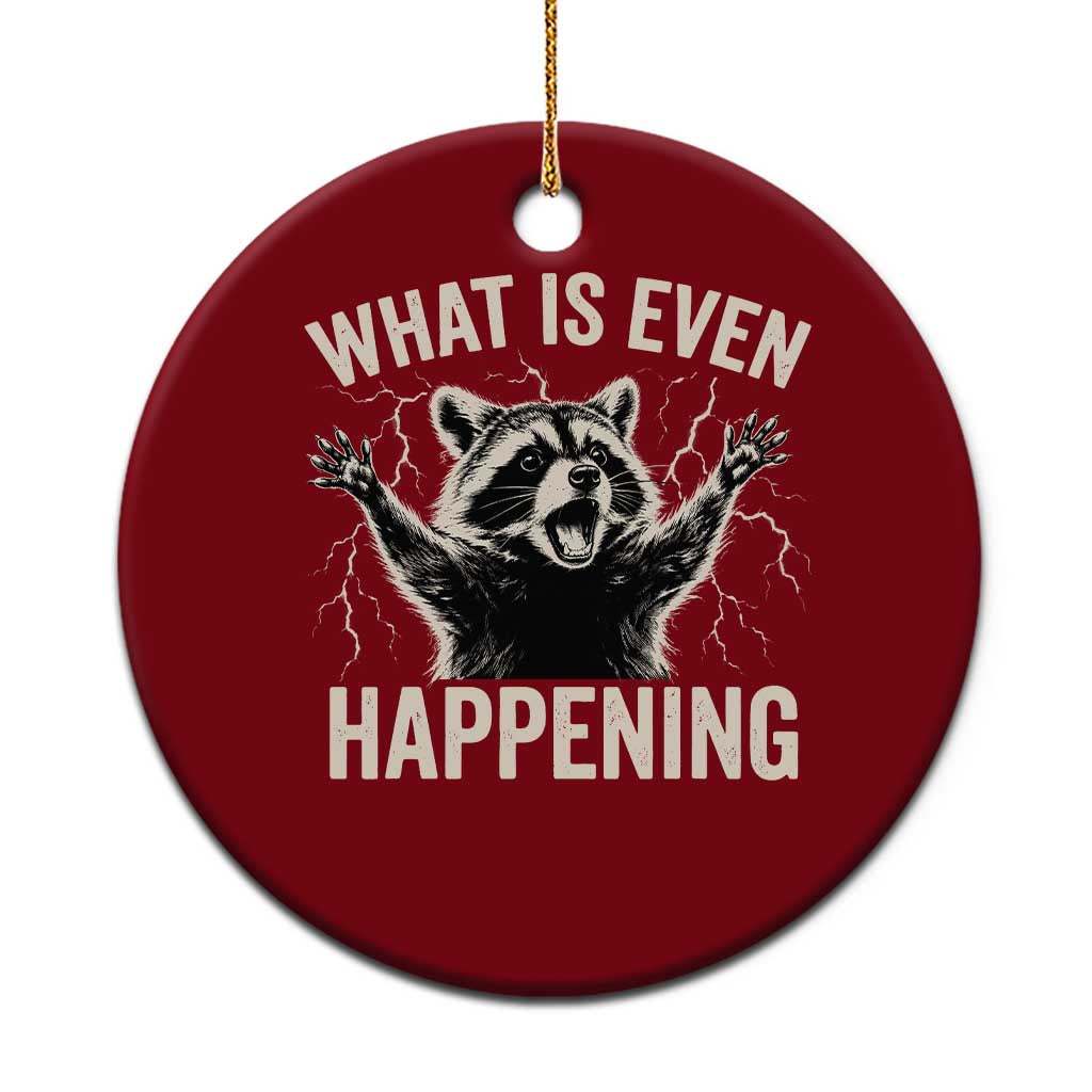 What Is Even Happening Funny Raccoon Ceramic Ornament Screaming Trash Panda Meme Storm TS11 1pc Red Print Your Wear