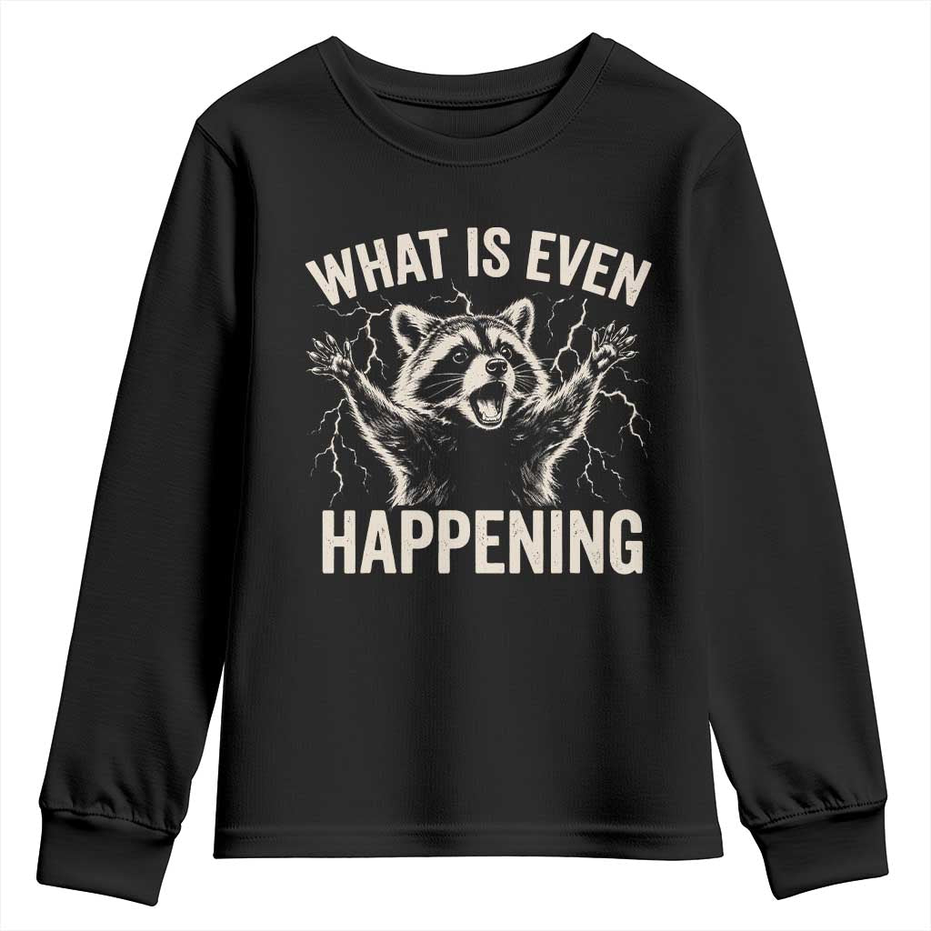 What Is Even Happening Funny Raccoon Youth Sweatshirt Screaming Trash Panda Meme Storm TS11 Black Print Your Wear
