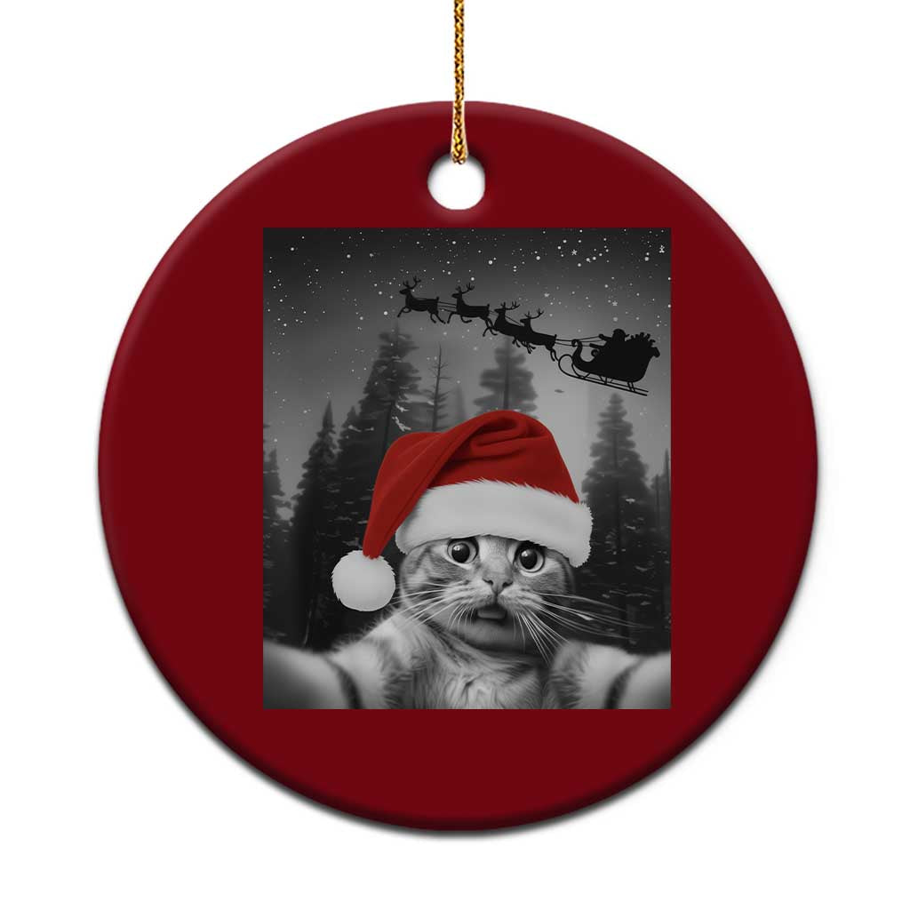 Funny Cat Selfie With Santas Sleigh Christmas Ceramic Ornament TS11 1pc Red Print Your Wear