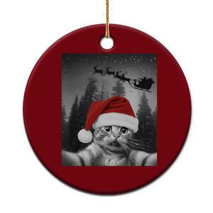 Funny Cat Selfie With Santas Sleigh Christmas Ceramic Ornament TS11 1pc Red Print Your Wear