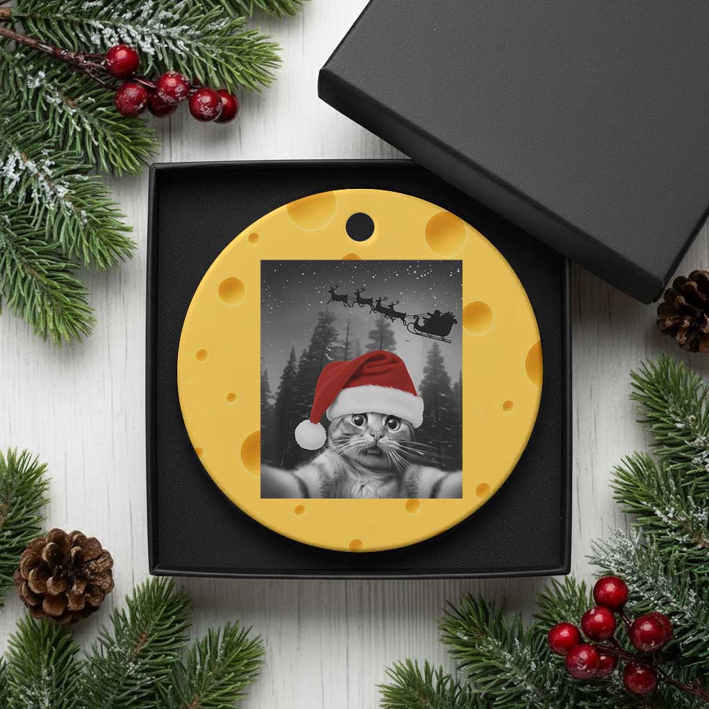 Funny Cat Selfie With Santas Sleigh Christmas Ceramic Ornament TS11 1pc Yellow Cheese Print Your Wear
