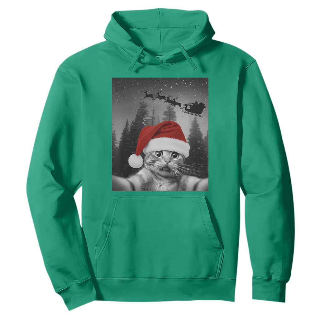 Funny Cat Selfie With Santas Sleigh Christmas Hoodie TS11 Irish Green Print Your Wear