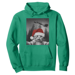 Funny Cat Selfie With Santas Sleigh Christmas Hoodie TS11 Irish Green Print Your Wear