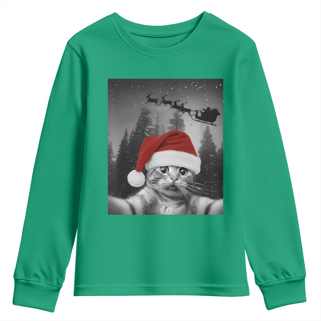 Funny Cat Selfie With Santas Sleigh Christmas Youth Sweatshirt TS11 Irish Green Print Your Wear