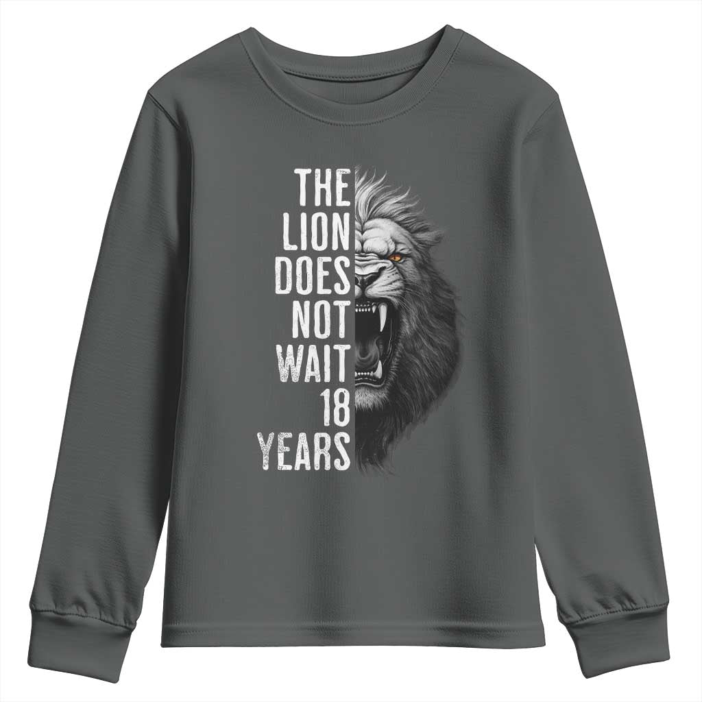 Funny The Lion Does Not Wait 18 Years Youth Sweatshirt Lion Meme Gen Z Alpha TS11 Dark Heather Print Your Wear
