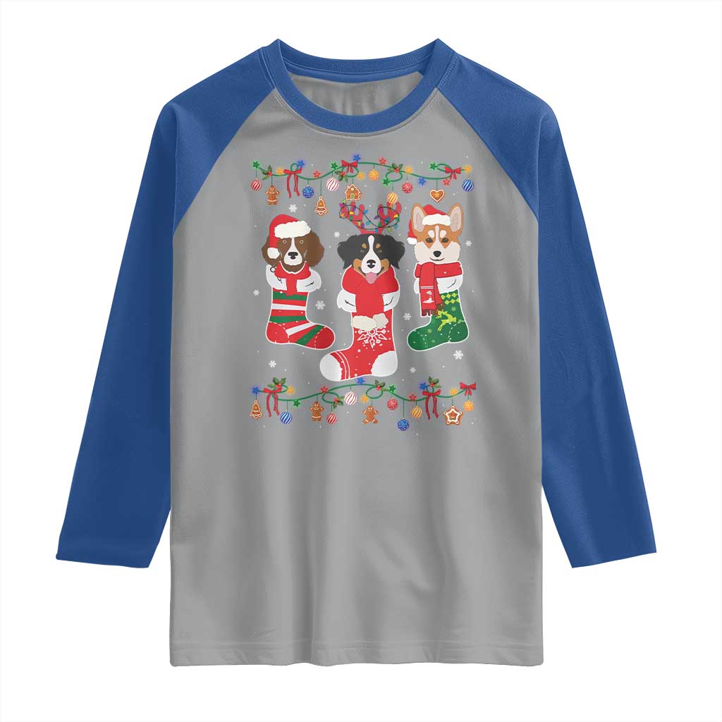 Funny Christmas Dog Owner Raglan Shirt Socks Xmas Holiday TS11 Sport Gray Royal Print Your Wear