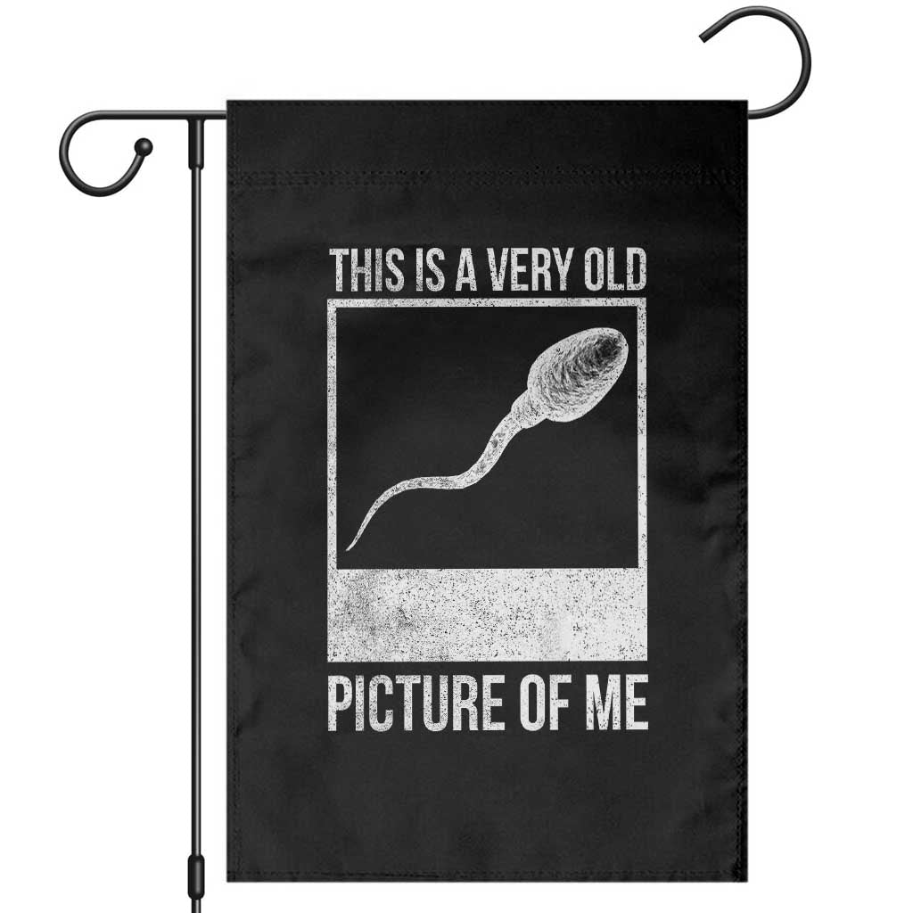 Funny This Is A Very Old Picture Of Me Garden Flag Adult Humor Gag Gift TS11 Black Print Your Wear