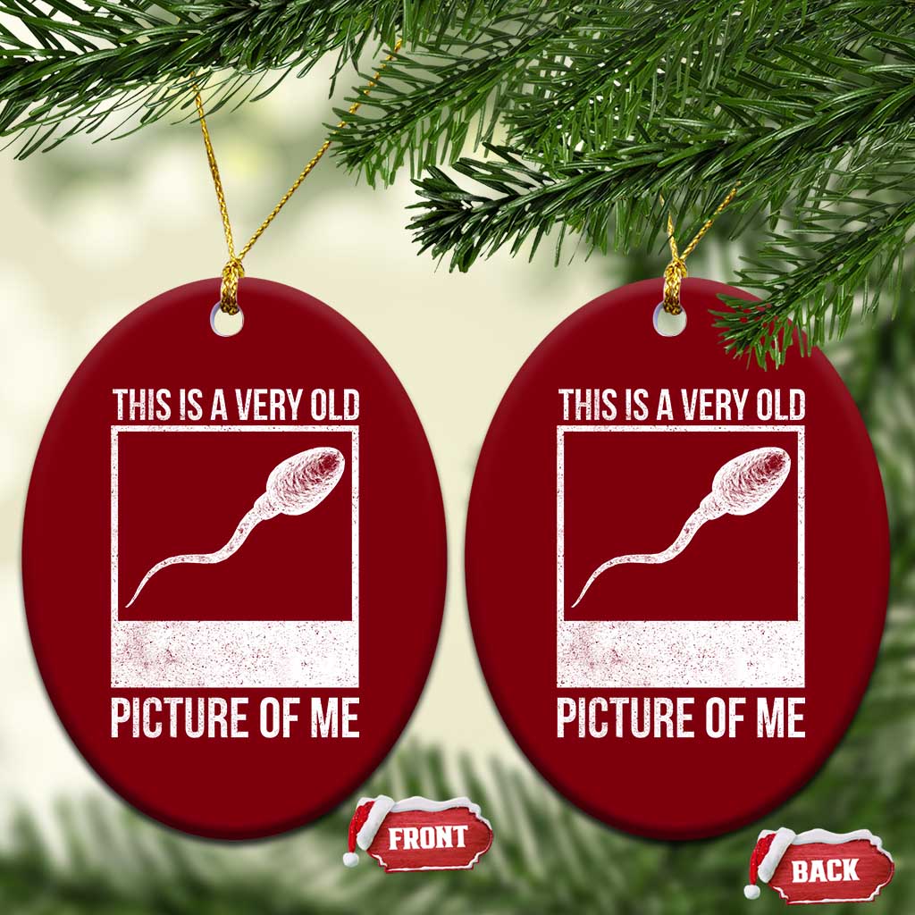 Funny This Is A Very Old Picture Of Me Ceramic Ornament Adult Humor Gag Gift TS11 Print Your Wear