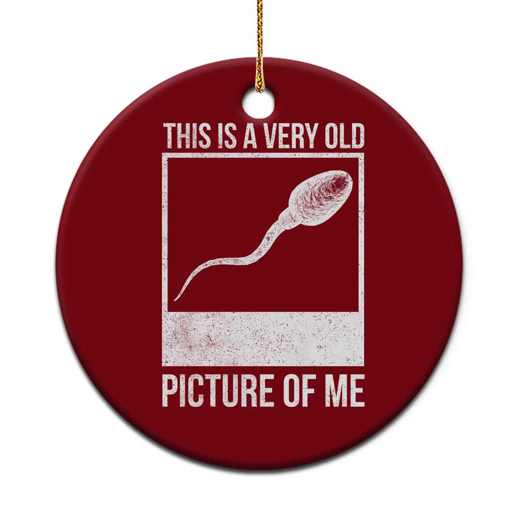 Funny This Is A Very Old Picture Of Me Ceramic Ornament Adult Humor Gag Gift TS11 1pc Red Print Your Wear