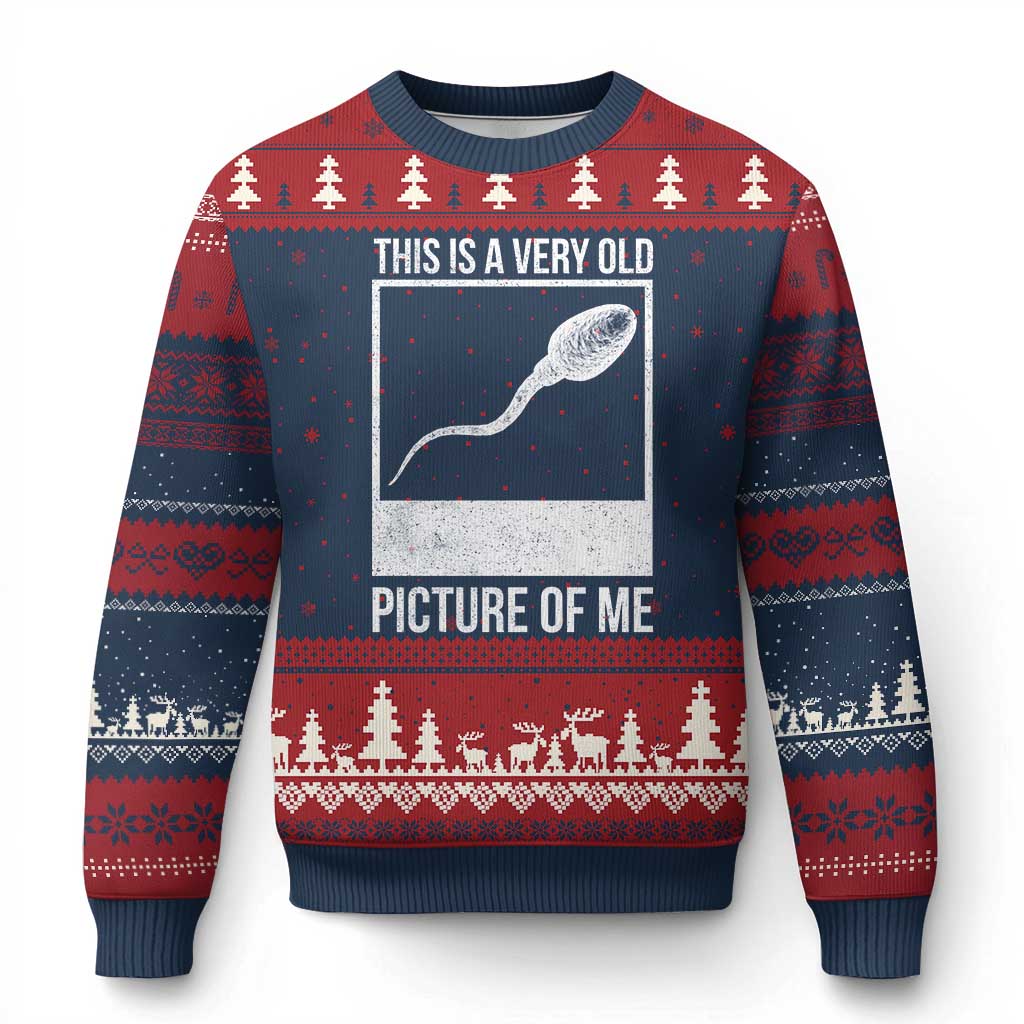 Funny This Is A Very Old Picture Of Me Ugly Christmas Sweater Adult Humor Gag Gift TS11 Navy Red Print Your Wear