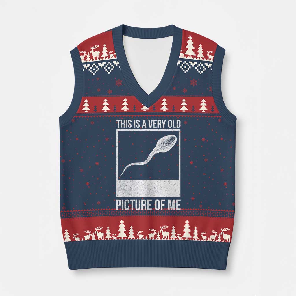 Funny This Is A Very Old Picture Of Me V-Neck Knit Sweater Vest Adult Humor Gag Gift TS11 Navy Red Print Your Wear
