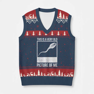 Funny This Is A Very Old Picture Of Me V-Neck Knit Sweater Vest Adult Humor Gag Gift TS11 Navy Red Print Your Wear