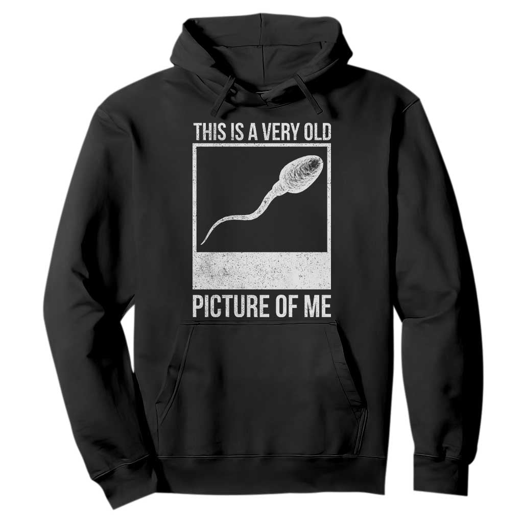 Funny This Is A Very Old Picture Of Me Hoodie Adult Humor Gag Gift TS11 Black Print Your Wear