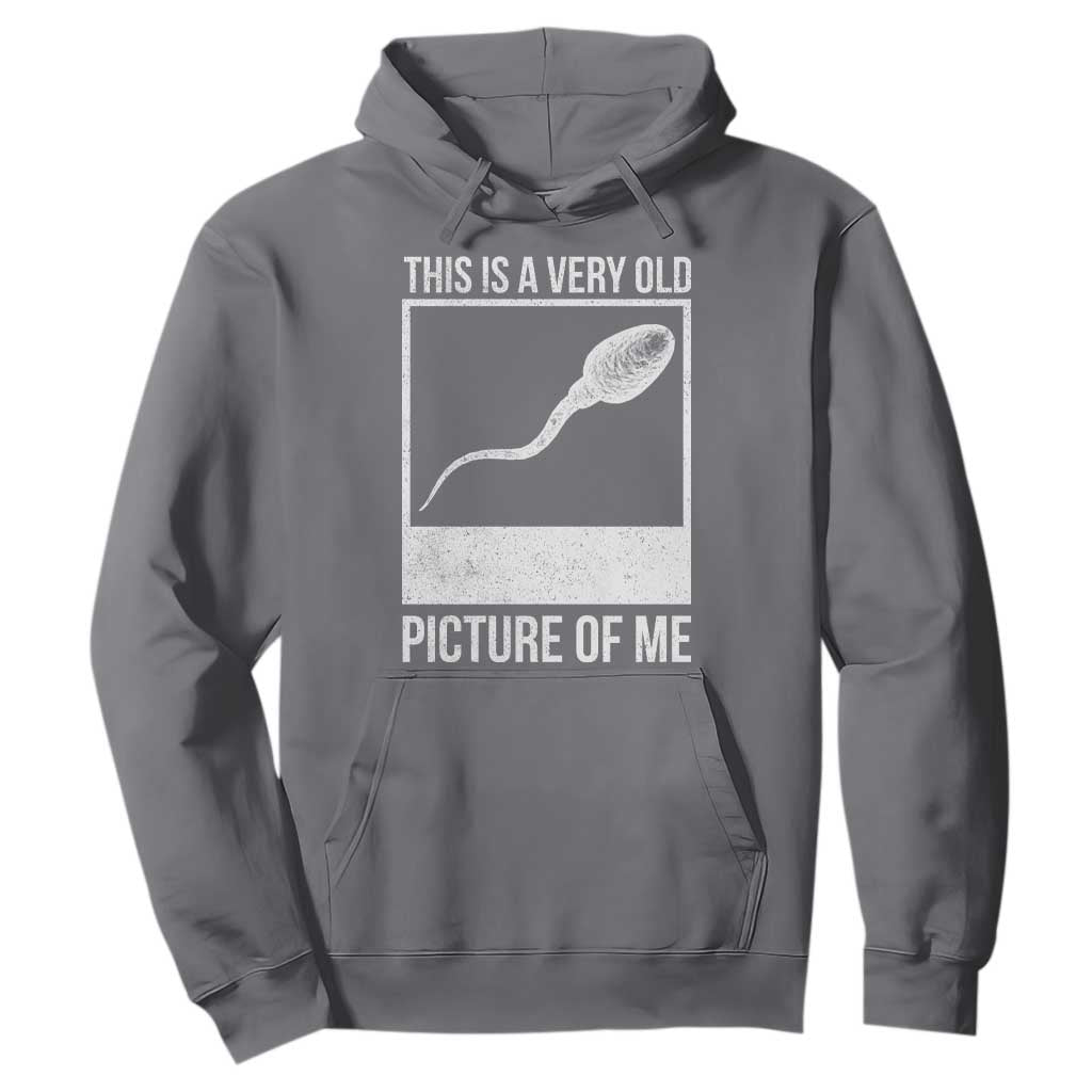 Funny This Is A Very Old Picture Of Me Hoodie Adult Humor Gag Gift TS11 Charcoal Print Your Wear