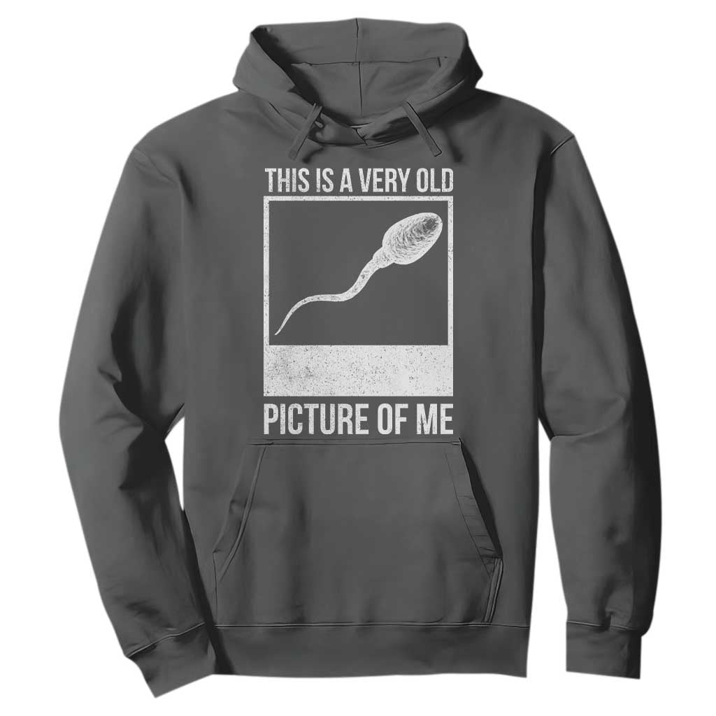 Funny This Is A Very Old Picture Of Me Hoodie Adult Humor Gag Gift TS11 Dark Heather Print Your Wear