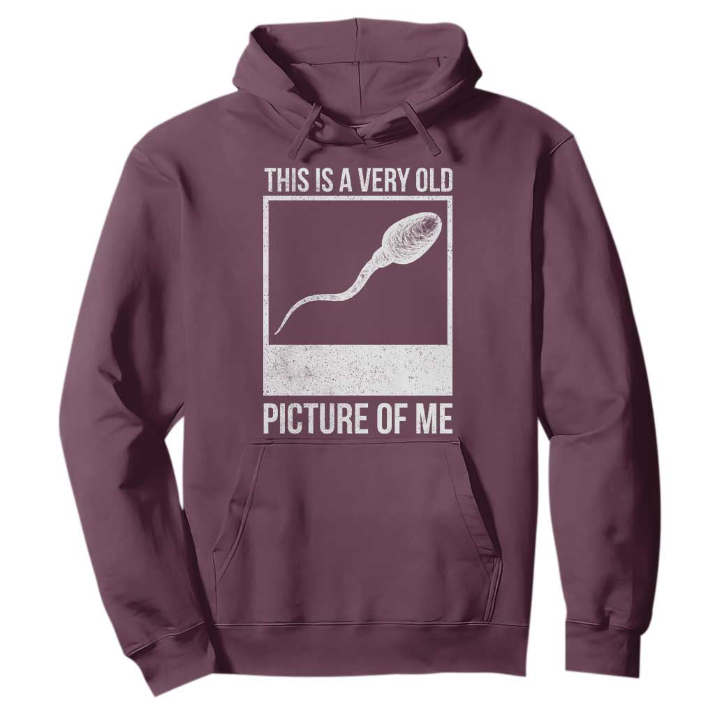 Funny This Is A Very Old Picture Of Me Hoodie Adult Humor Gag Gift TS11 Maroon Print Your Wear