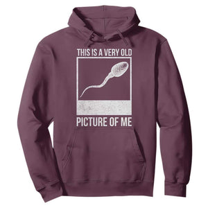 Funny This Is A Very Old Picture Of Me Hoodie Adult Humor Gag Gift TS11 Maroon Print Your Wear