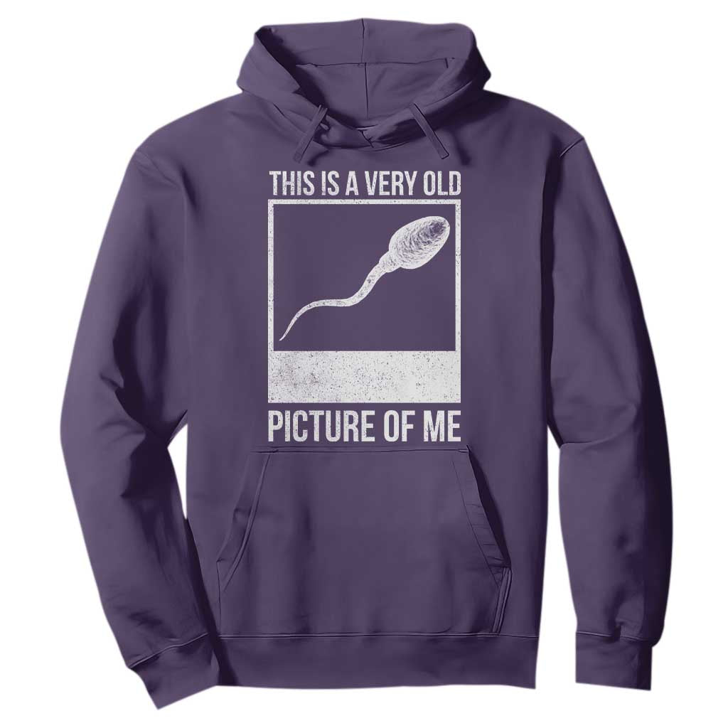 Funny This Is A Very Old Picture Of Me Hoodie Adult Humor Gag Gift TS11 Purple Print Your Wear